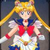 Cartoons Sailor Moon  10117