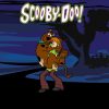 Cartoons Scooby Doo  10148