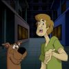 Cartoons Scooby Doo  10165