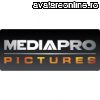 Sigle/Marci Posturi TV MEDIA PRO PICTURES 10439