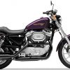 Moto Diverse Harley Davidson 6146