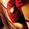 Filme Diverse Spiderman Peeping 5746
