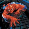 Filme Diverse Spiderman 6041