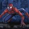 Filme Diverse Spiderman 6044