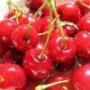 Fructe Diverse Cirese 6392