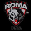 Sport Fotbal Roma 6443