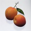 Fructe Diverse Piersici 6526