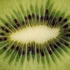 Fructe Diverse Kiwi 6540