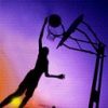 Sport Diverse Basketball 7727