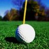 Sport Diverse Golf-Ball 7736