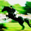 Sport Diverse Horse jumper 7743