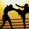 Sport Diverse Kickboxing 7757