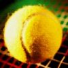 Sport Diverse Tennis-Ball 7794