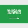 Simboluri Steaguri Arabia Saudita 8282