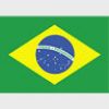 Simboluri Steaguri Brazilia 8304