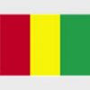 Simboluri Steaguri Guinea 8355
