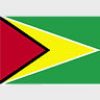 Simboluri Steaguri Guyana 8358