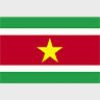 Simboluri Steaguri Suriname 8494