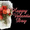 Sarbatori Valentine's day  9662