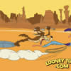 Cartoons Diverse Looney tunes road unner 919