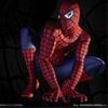 Filme Diverse Spiderman Perched 5747