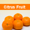 Fructe Diverse Portocale 6456