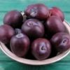 Fructe Diverse Prune 6581
